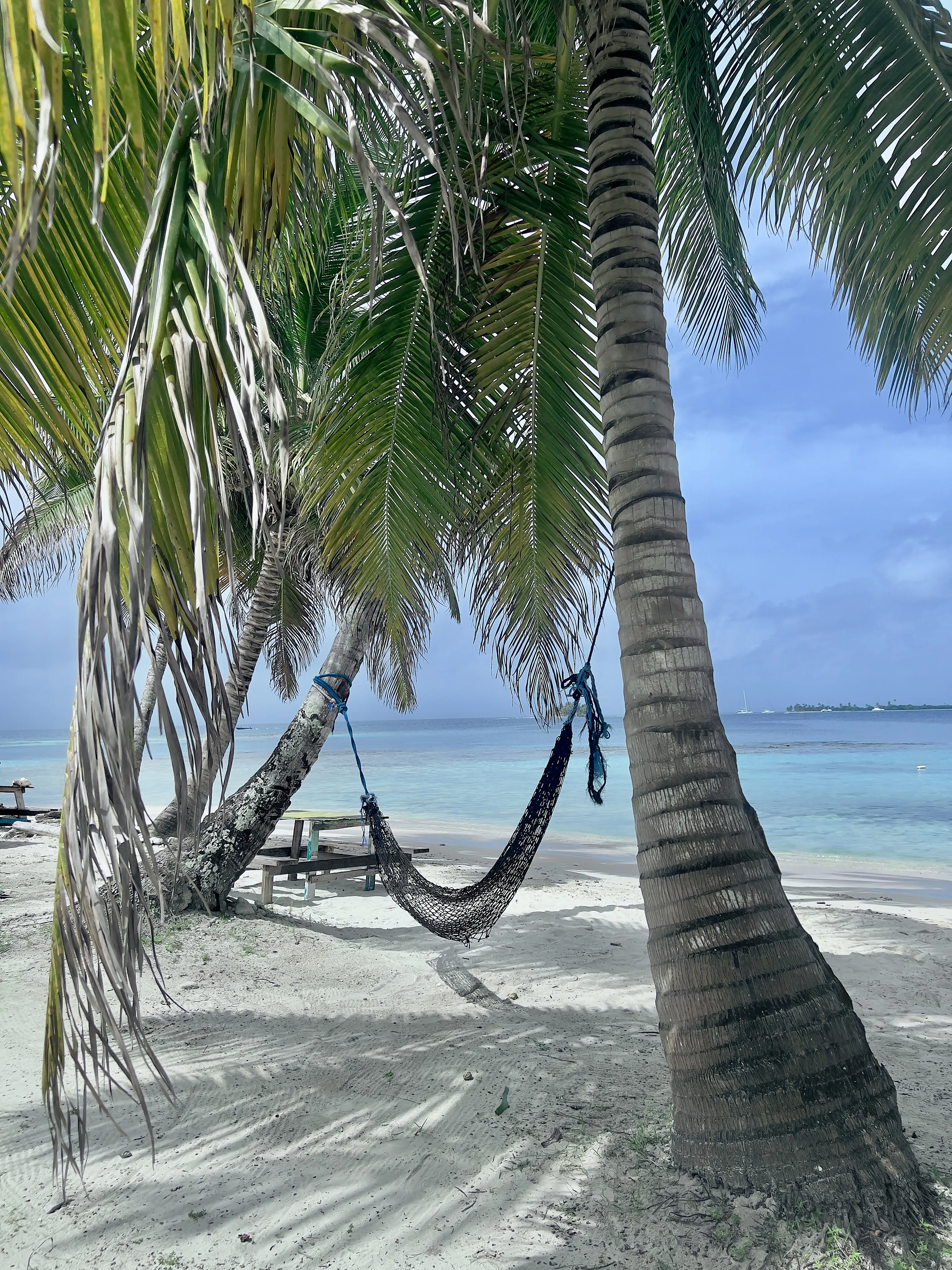 Galería Imagen San Blas
