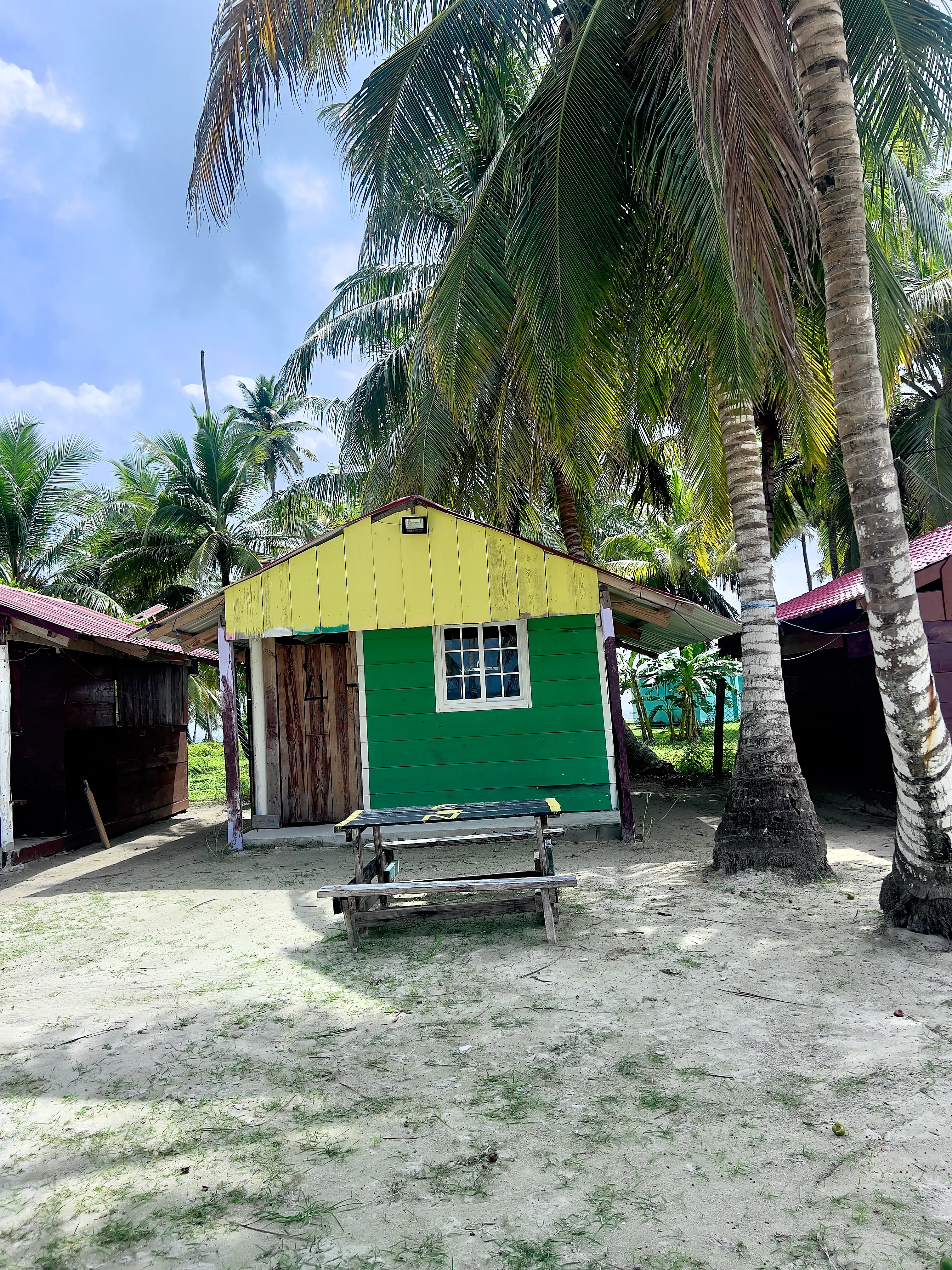 Galería Imagen San Blas